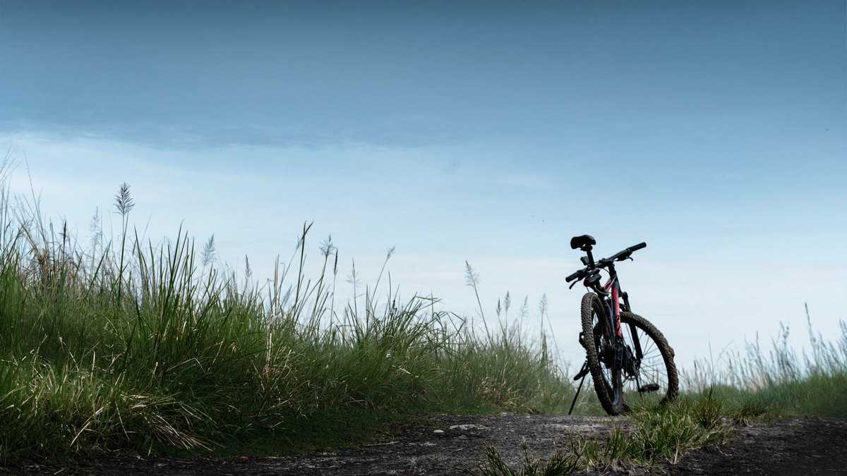Vélo de route posé au bord d'une route de campagne