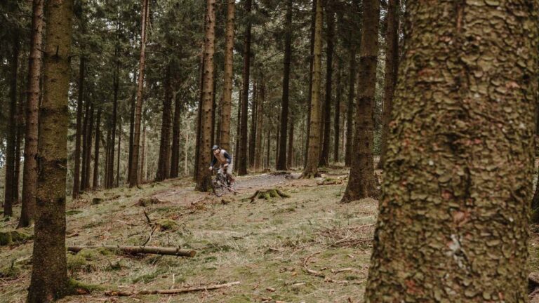 VTT à l'arrêt sur un sentier forestier