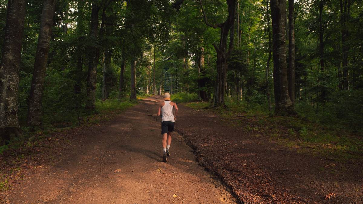 Chemin boisé servant de boucle d'entraînement